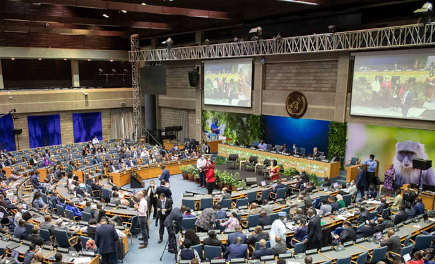 重磅丨首個全球“禁塑令”即將到來